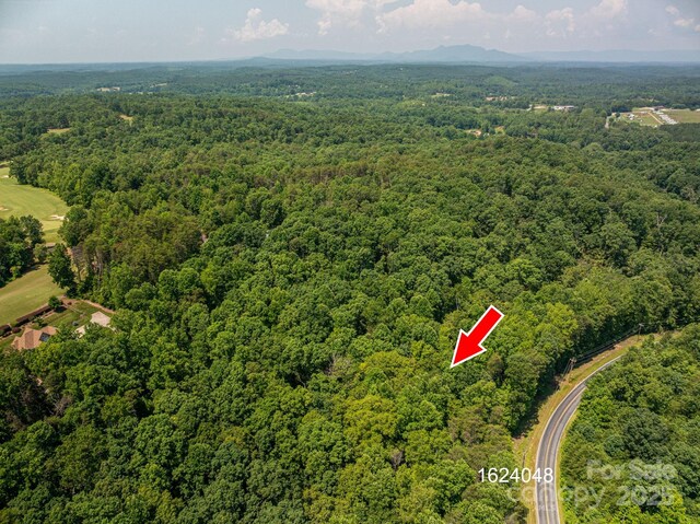 LOT Washburn Ln, Rutherfordton, NC 28139 - photo 12