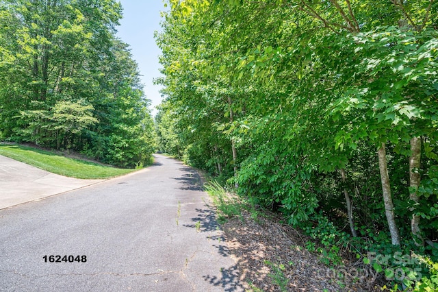 LOT Washburn Ln, Rutherfordton, NC 28139 - photo 13