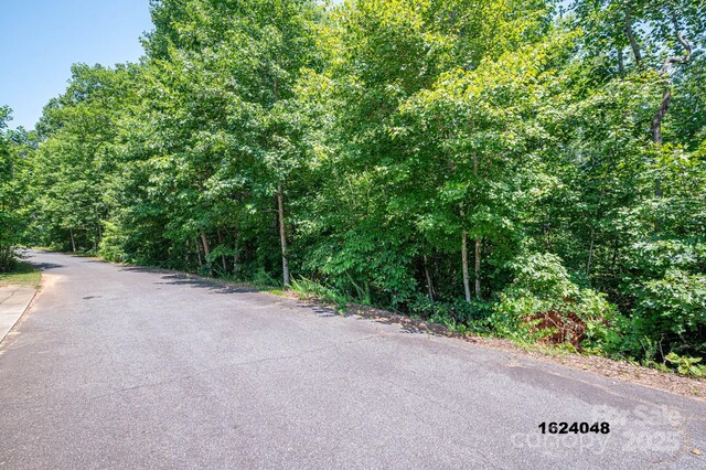 LOT Washburn Ln, Rutherfordton, NC 28139 - photo 14