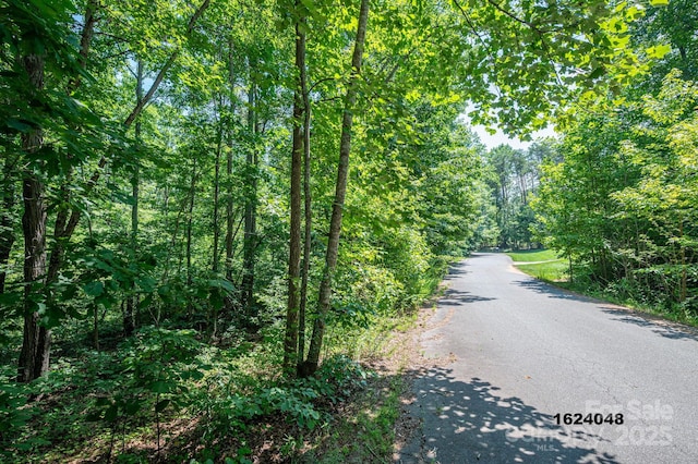 LOT Washburn Ln, Rutherfordton, NC 28139 - photo 15