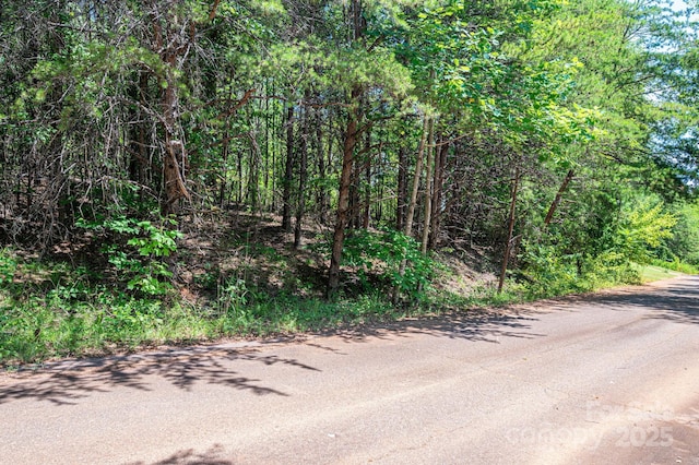 LOT10 Meadow Crossing Dr, Rutherfordton, NC 28139 - photo 4