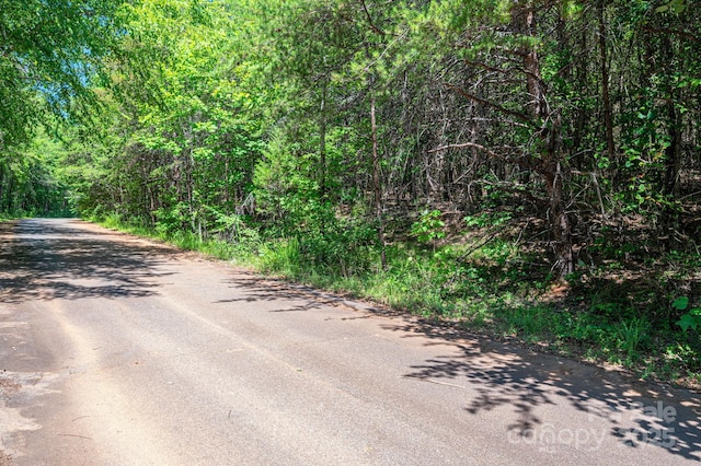 LOT10 Meadow Crossing Dr, Rutherfordton, NC 28139 - photo 5