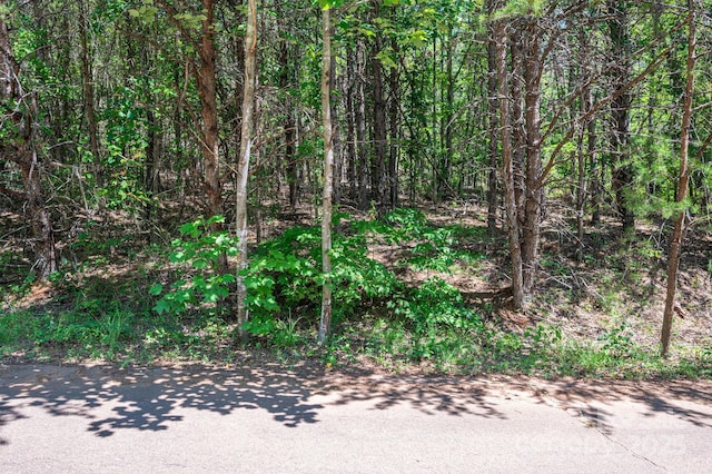 LOT10 Meadow Crossing Dr, Rutherfordton, NC 28139 - photo 6