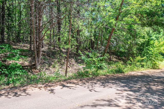 LOT10 Meadow Crossing Dr, Rutherfordton, NC 28139 - photo 7