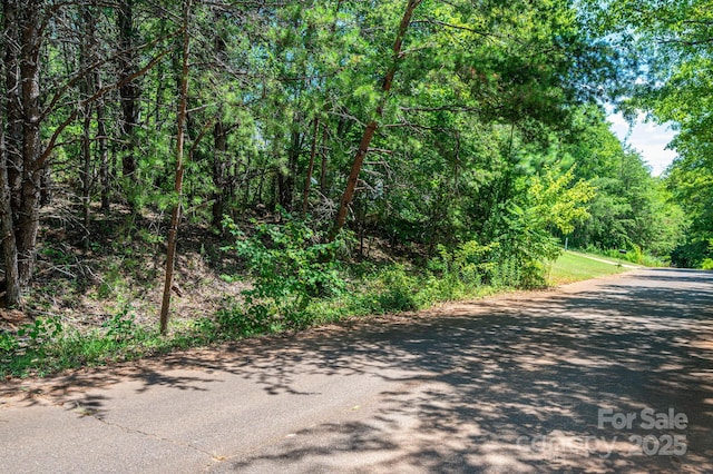 LOT10 Meadow Crossing Dr, Rutherfordton, NC 28139 - photo 8