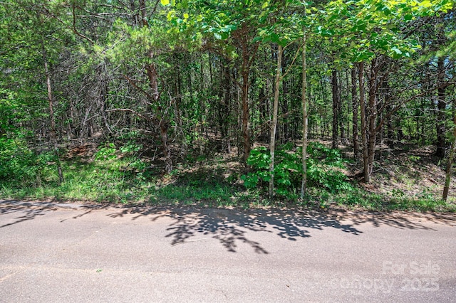 LOT10 Meadow Crossing Dr, Rutherfordton, NC 28139 - photo 9