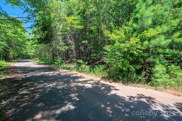 LOT10 Meadow Crossing Dr, Rutherfordton, NC 28139 - photo 10
