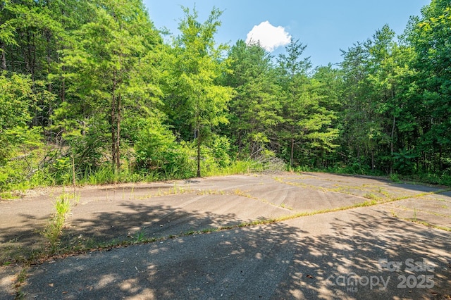 135 Heatherwood Dr, Rutherfordton, NC 28139 - photo 1
