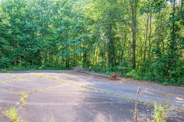 135 Heatherwood Dr, Rutherfordton, NC 28139 - photo 4