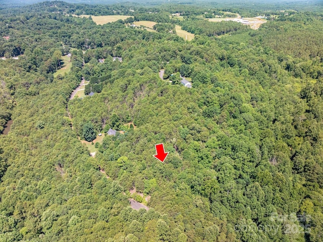 135 Heatherwood Dr, Rutherfordton, NC 28139 - photo 5