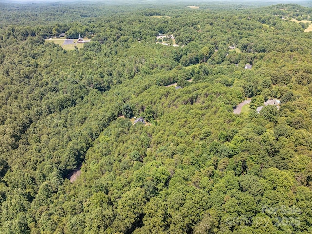 135 Heatherwood Dr, Rutherfordton, NC 28139 - photo 7