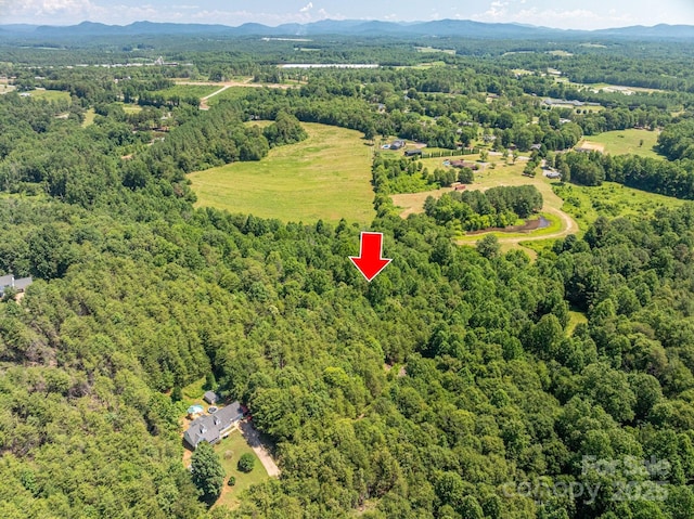 135 Heatherwood Dr, Rutherfordton, NC 28139 - photo 10