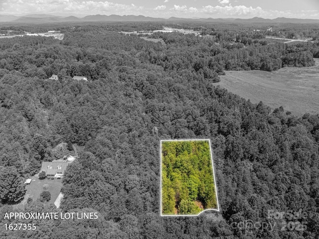 135 Heatherwood Dr, Rutherfordton, NC 28139 - photo 12