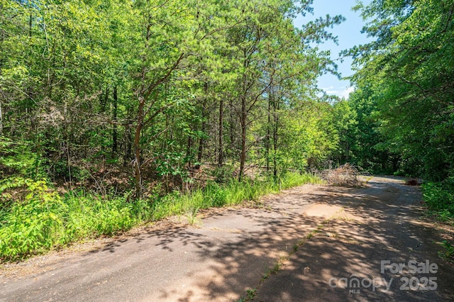 135 Heatherwood Dr, Rutherfordton, NC 28139 - photo 14