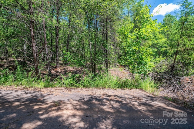 135 Heatherwood Dr, Rutherfordton, NC 28139 - photo 15