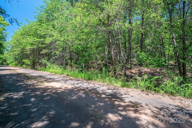 135 Heatherwood Dr, Rutherfordton, NC 28139 - photo 16