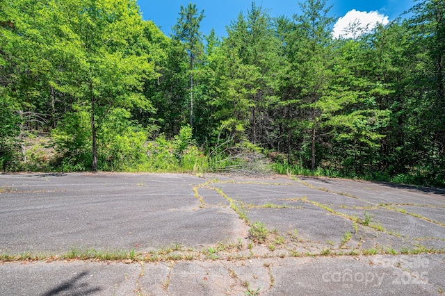 135 Heatherwood Dr, Rutherfordton, NC 28139 - photo 17
