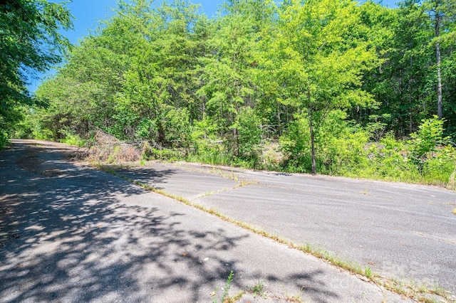 135 Heatherwood Dr, Rutherfordton, NC 28139 - photo 18