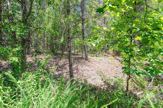 135 Heatherwood Dr, Rutherfordton, NC 28139 - photo 20