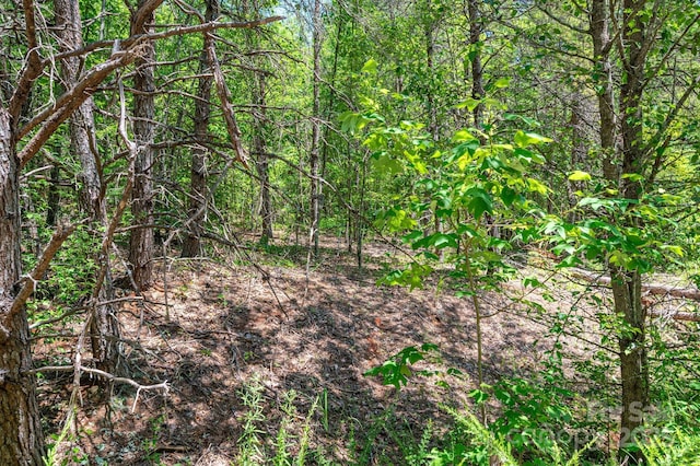 135 Heatherwood Dr, Rutherfordton, NC 28139 - photo 21