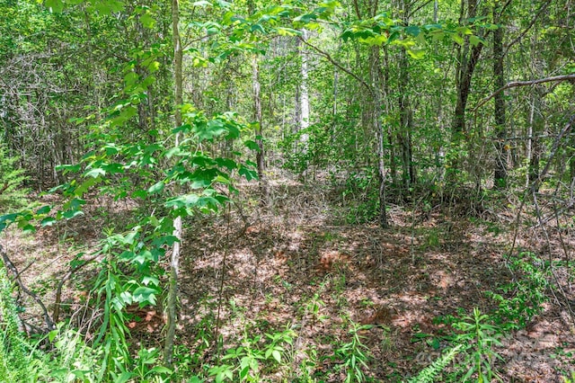 135 Heatherwood Dr, Rutherfordton, NC 28139 - photo 22