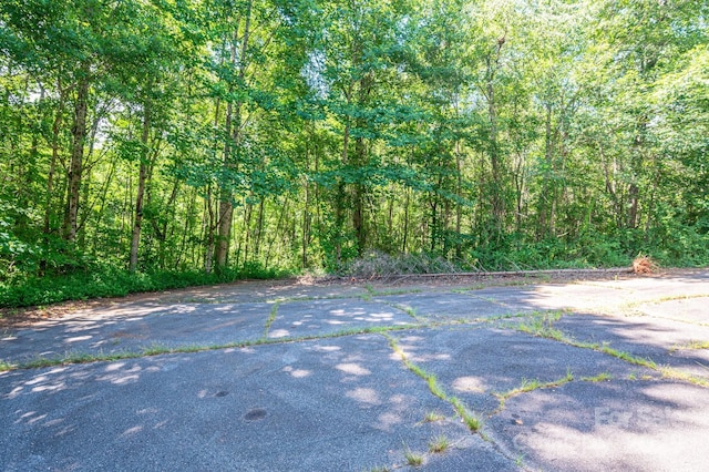 LOT17 Meadow Crossing Dr, Rutherfordton, NC 28139 - photo 2