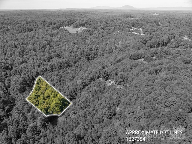 LOT17 Meadow Crossing Dr, Rutherfordton, NC 28139 - photo 3