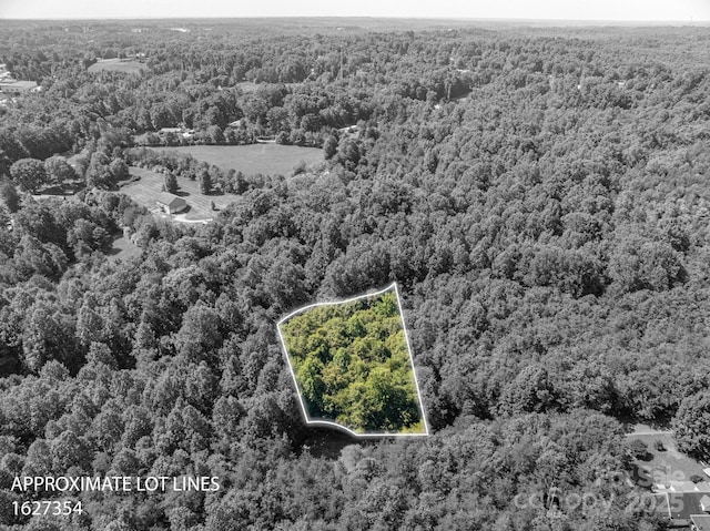 LOT17 Meadow Crossing Dr, Rutherfordton, NC 28139 - photo 7