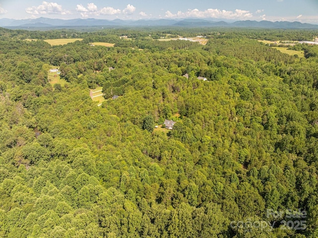 LOT17 Meadow Crossing Dr, Rutherfordton, NC 28139 - photo 9