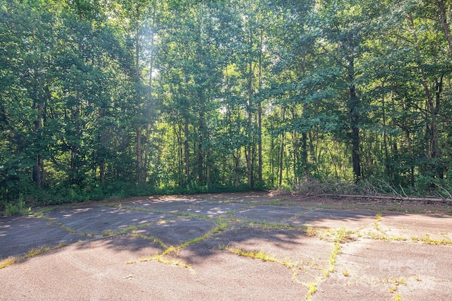 LOT17 Meadow Crossing Dr, Rutherfordton, NC 28139 - photo 11