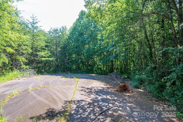 LOT17 Meadow Crossing Dr, Rutherfordton, NC 28139 - photo 12