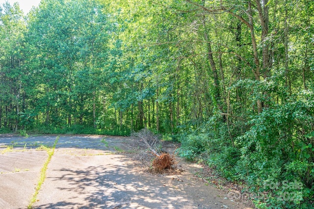 LOT17 Meadow Crossing Dr, Rutherfordton, NC 28139 - photo 13