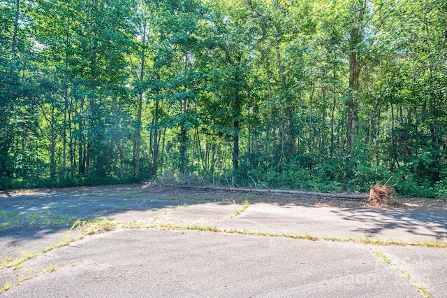 LOT17 Meadow Crossing Dr, Rutherfordton, NC 28139 - photo 14