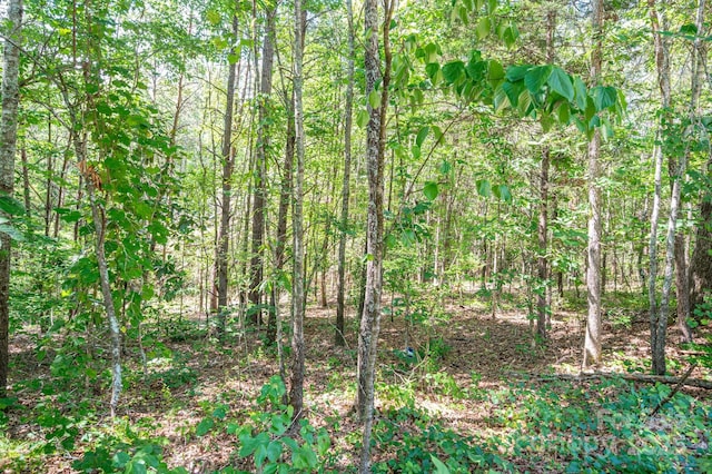 LOT16 Meadow Crossing Dr, Rutherfordton, NC 28139 - photo 1