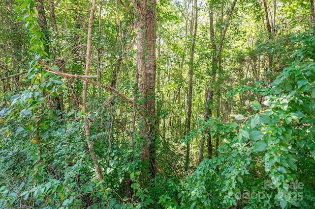 LOT16 Meadow Crossing Dr, Rutherfordton, NC 28139 - photo 2