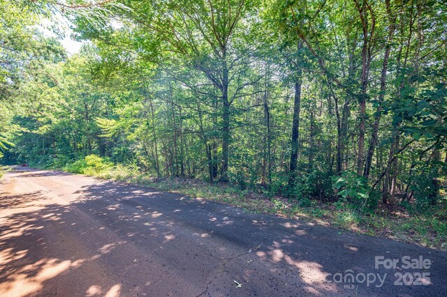 LOT16 Meadow Crossing Dr, Rutherfordton, NC 28139 - photo 3