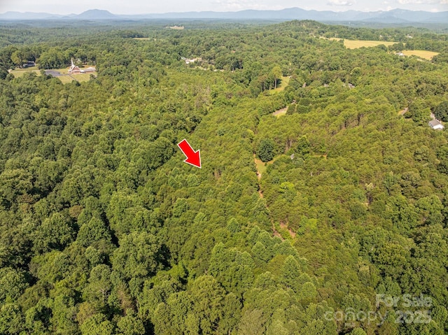 LOT16 Meadow Crossing Dr, Rutherfordton, NC 28139 - photo 7