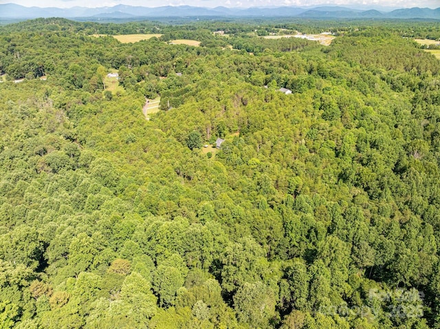 LOT16 Meadow Crossing Dr, Rutherfordton, NC 28139 - photo 12
