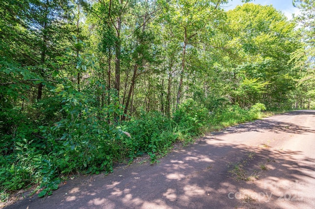 LOT16 Meadow Crossing Dr, Rutherfordton, NC 28139 - photo 13