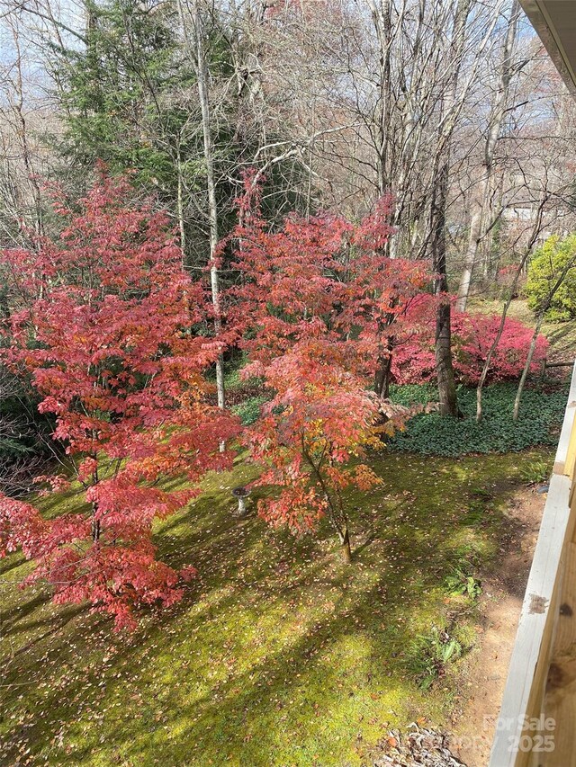 280 Crescent Dr, Lake Junaluska, NC 28745 - photo 37