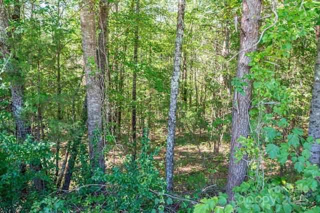 LOT7 Meadow Crossing Dr, Rutherfordton, NC 28139 - photo 1