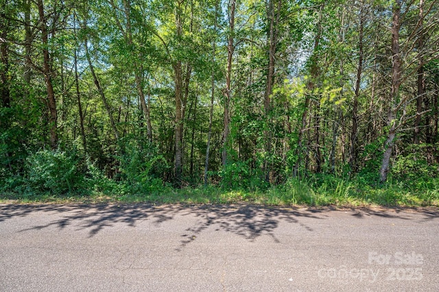 LOT7 Meadow Crossing Dr, Rutherfordton, NC 28139 - photo 5