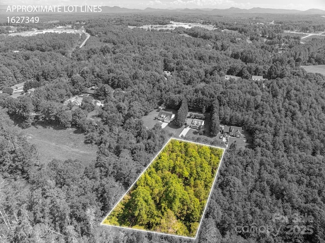 LOT7 Meadow Crossing Dr, Rutherfordton, NC 28139 - photo 10