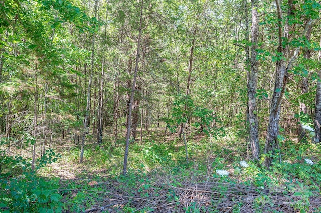 LOT15 Meadow Crossing Dr, Rutherfordton, NC 28139 - photo 1