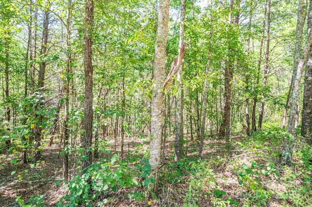 LOT15 Meadow Crossing Dr, Rutherfordton, NC 28139 - photo 12