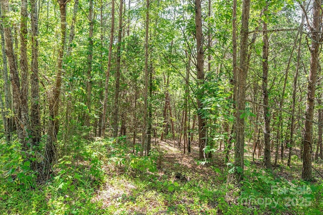 LOT15 Meadow Crossing Dr, Rutherfordton, NC 28139 - photo 14