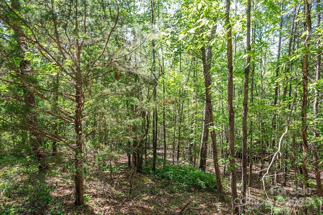 LOT14 Meadow Crossing Dr, Rutherfordton, NC 28139 - photo 1