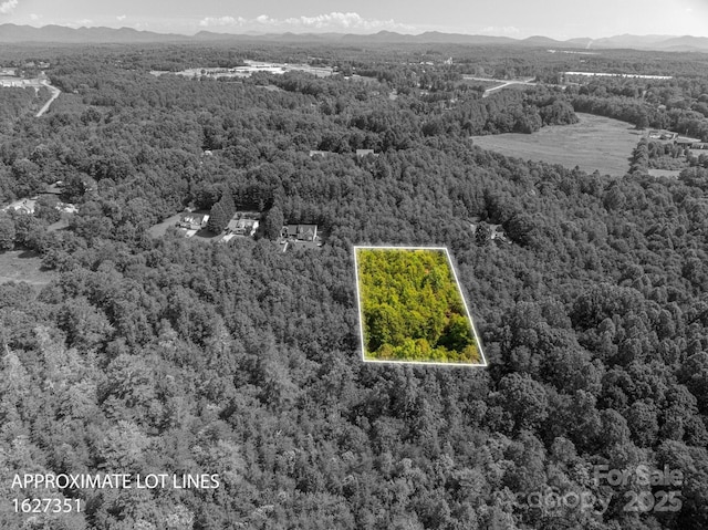 LOT14 Meadow Crossing Dr, Rutherfordton, NC 28139 - photo 6