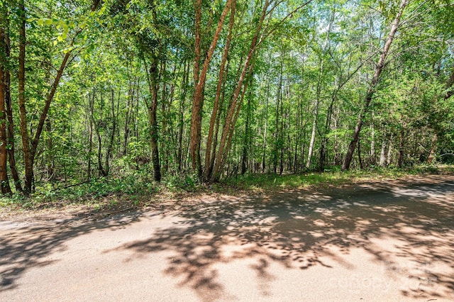 LOT14 Meadow Crossing Dr, Rutherfordton, NC 28139 - photo 14