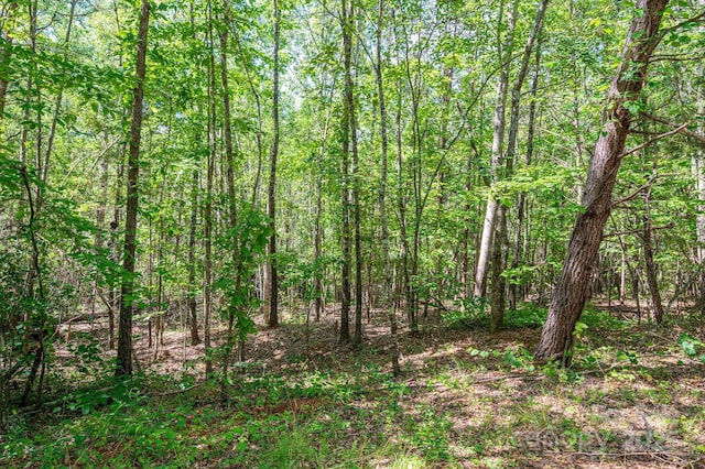 LOT14 Meadow Crossing Dr, Rutherfordton, NC 28139 - photo 15